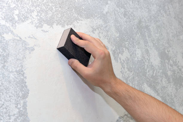 Best Mold-Related Health Consultation  in Yale, MI