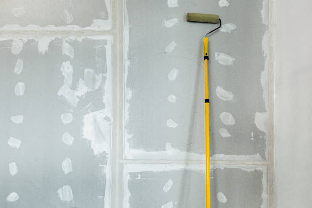 Best Mold Damage Restoration  in Yale, MI