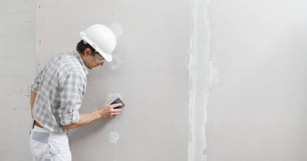 Best Mold Odor Removal Services  in Yale, MI